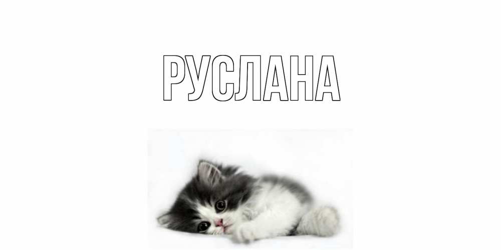 Открытка на каждый день с именем, Руслана Главная кот, скука Прикольная открытка с пожеланием онлайн скачать бесплатно 