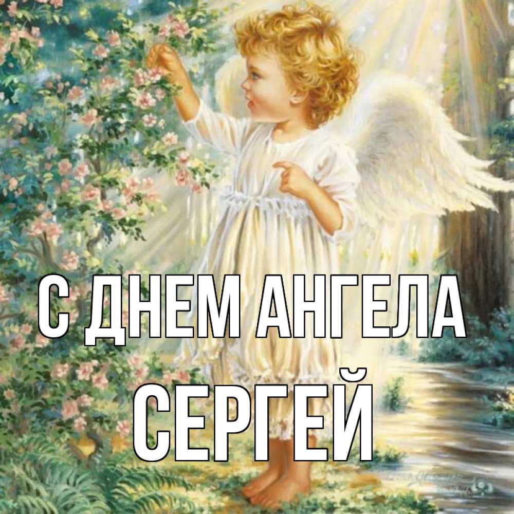 Открытка на каждый день с именем, Сергей С днем ангела собирает цветы Прикольная открытка с пожеланием онлайн скачать бесплатно 