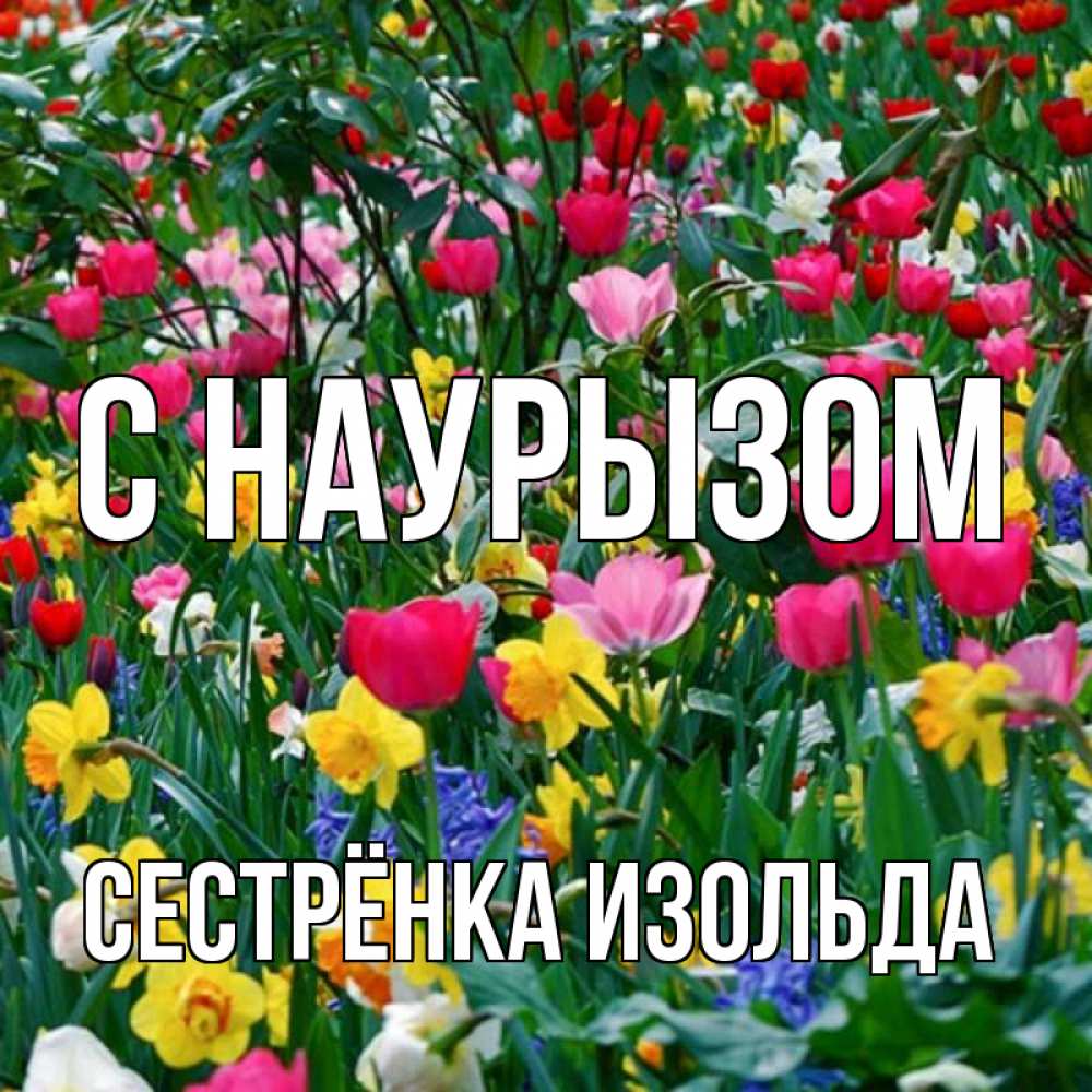 Открытка на каждый день с именем, Сестрёнка-Изольда С наурызом с наурызом праздником весны поздравления для женщины Прикольная открытка с пожеланием онлайн скачать бесплатно 