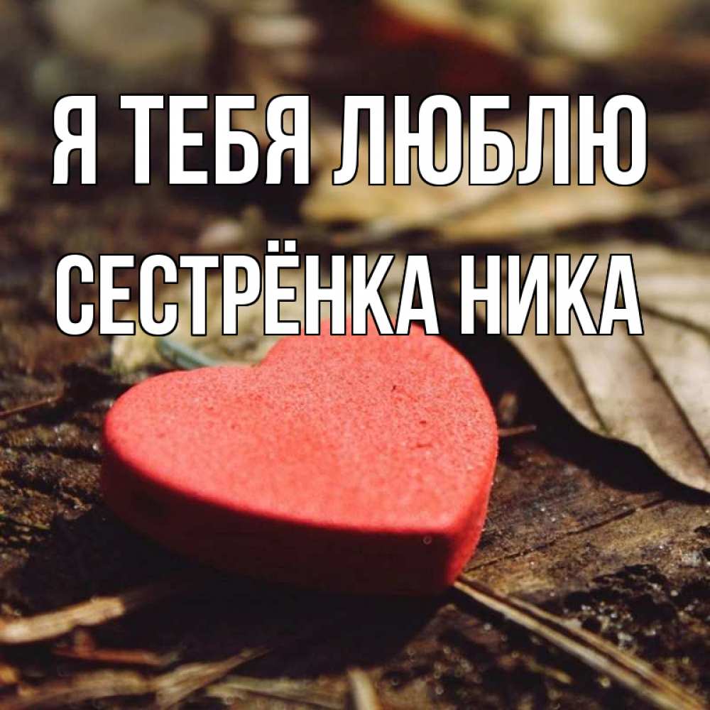 Открытка на каждый день с именем, Сестрёнка-Ника Я тебя люблю листья деревье 4 Прикольная открытка с пожеланием онлайн скачать бесплатно 