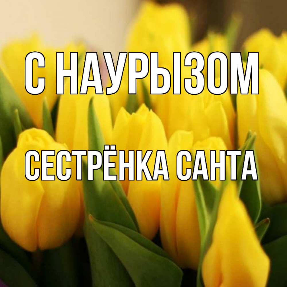 Открытка на каждый день с именем, Сестрёнка-Санта С наурызом цветы Прикольная открытка с пожеланием онлайн скачать бесплатно 