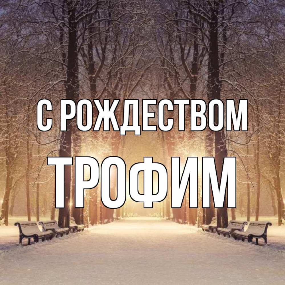 Открытка на каждый день с именем, Трофим С рождеством зима, парк, фонарь, лес Прикольная открытка с пожеланием онлайн скачать бесплатно 