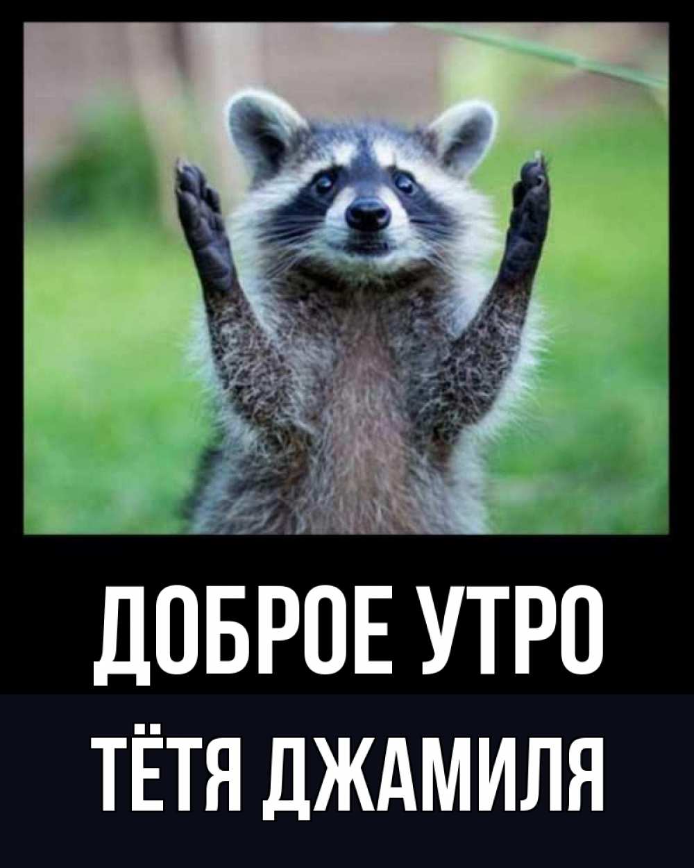 Открытка на каждый день с именем, Тётя-Джамиля Доброе утро хорошее настроение утречком Прикольная открытка с пожеланием онлайн скачать бесплатно 