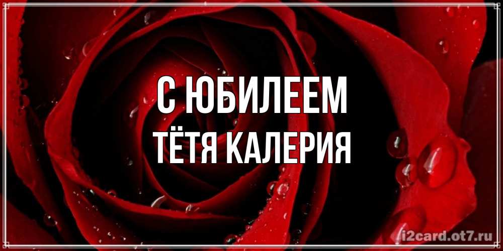Открытка на каждый день с именем, Тётя-Калерия С юбилеем крупная бордовая роза Прикольная открытка с пожеланием онлайн скачать бесплатно 
