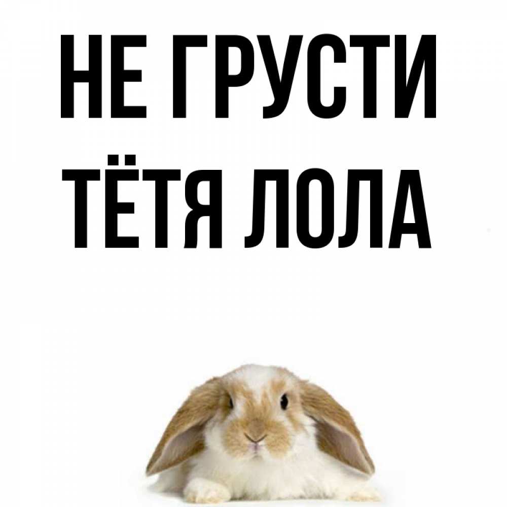 Открытка на каждый день с именем, Тётя-Лола Не грусти коричнево белый заяц с большими ушками Прикольная открытка с пожеланием онлайн скачать бесплатно 