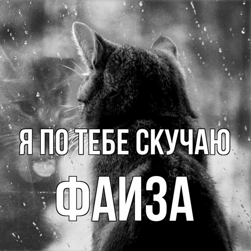 Открытка на каждый день с именем, Фаиза Я по тебе скучаю скорее ко мне приходи 1 Прикольная открытка с пожеланием онлайн скачать бесплатно 