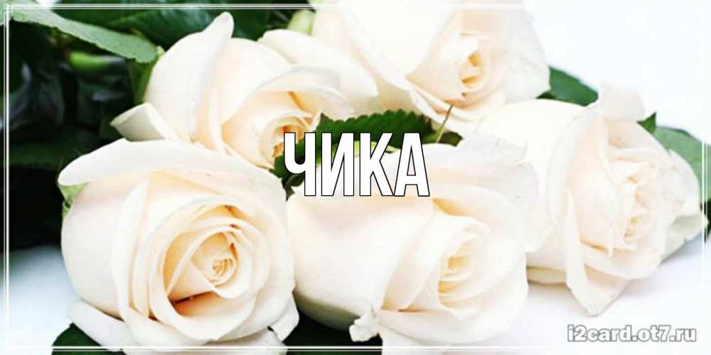 Открытка на каждый день с именем, Чика Главная открытка с красивыми белыми розами для родных Прикольная открытка с пожеланием онлайн скачать бесплатно 
