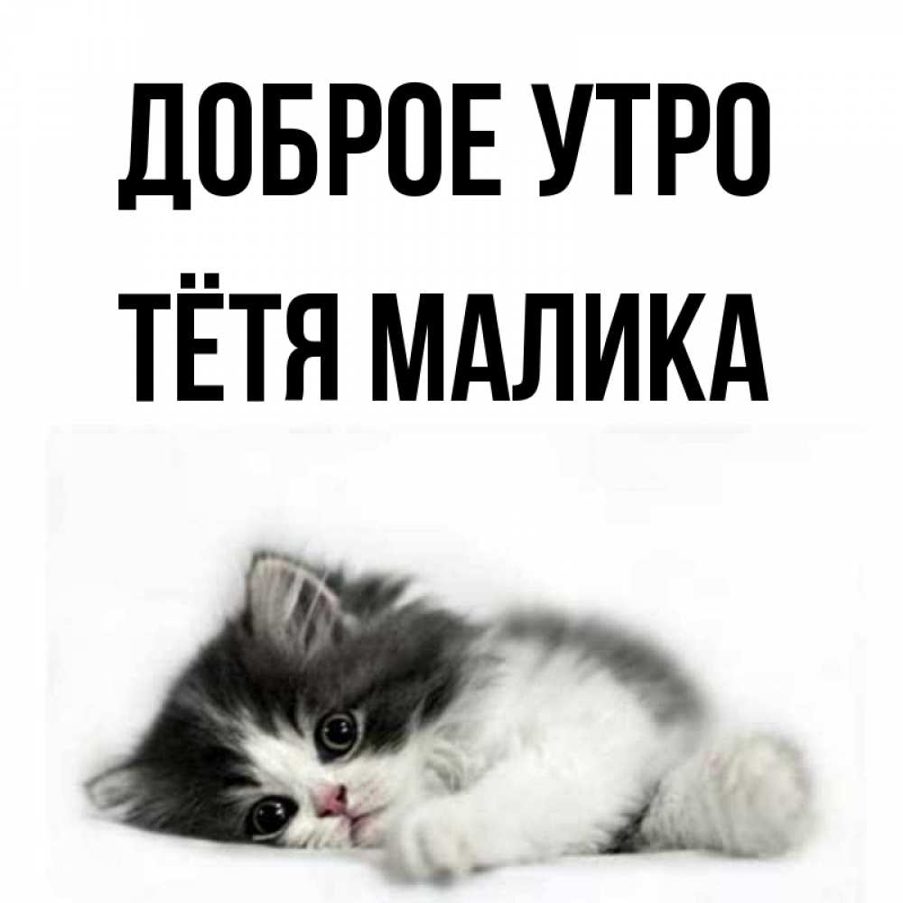 Открытка на каждый день с именем, Тётя-Малика Доброе утро кот лапки Прикольная открытка с пожеланием онлайн скачать бесплатно 