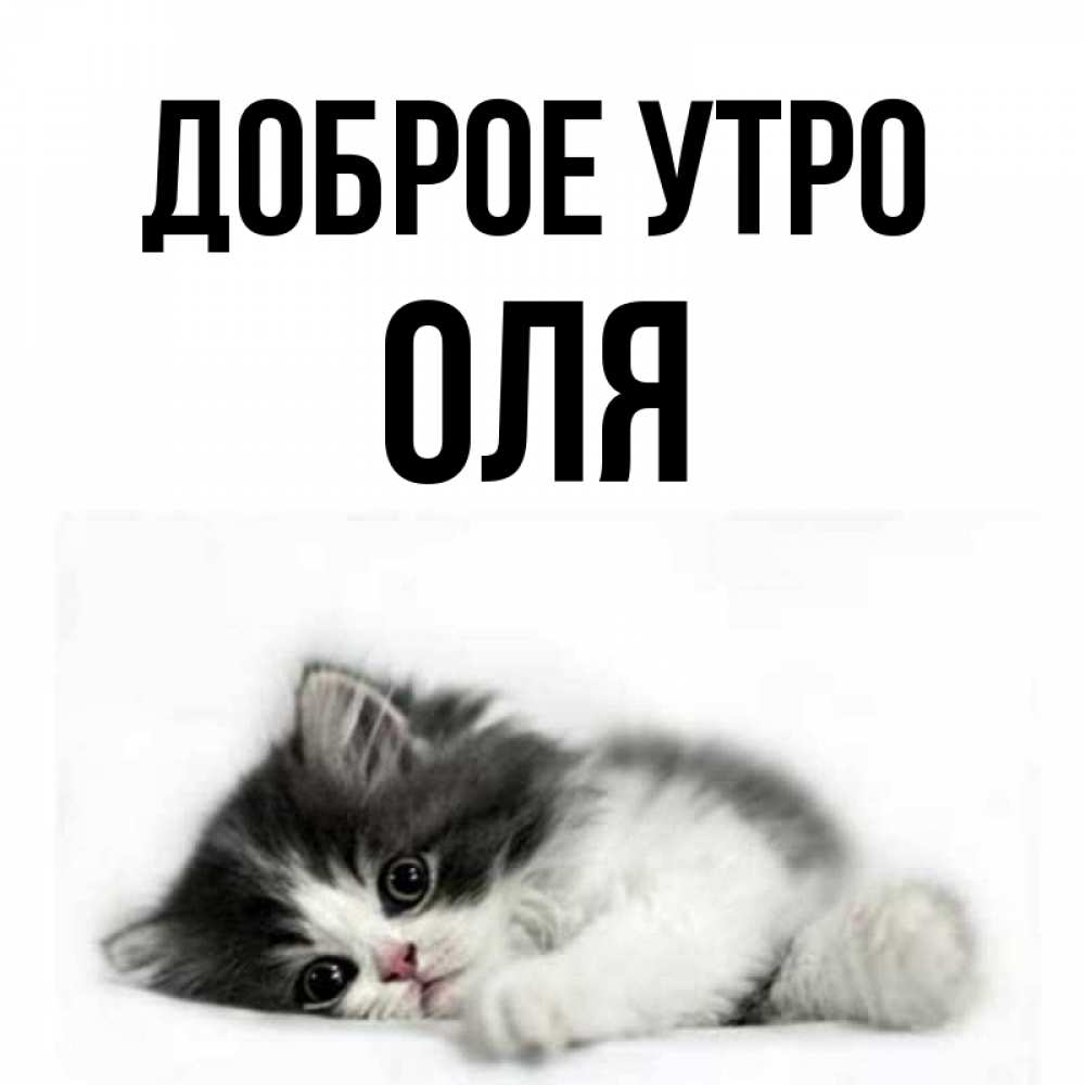 Оленька доброе утро картинки прикольные