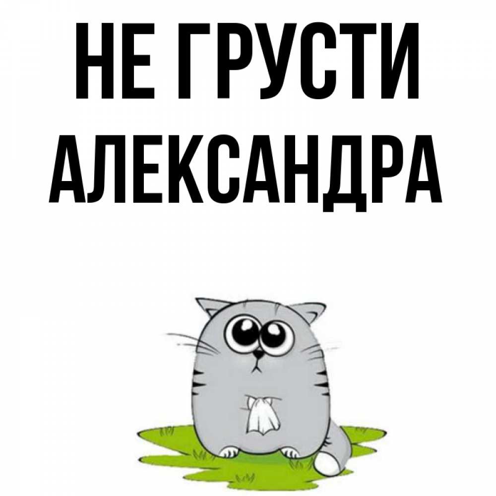 Открытка на каждый день с именем, Александра Не грусти грустный котяра Прикольная открытка с пожеланием онлайн скачать бесплатно 