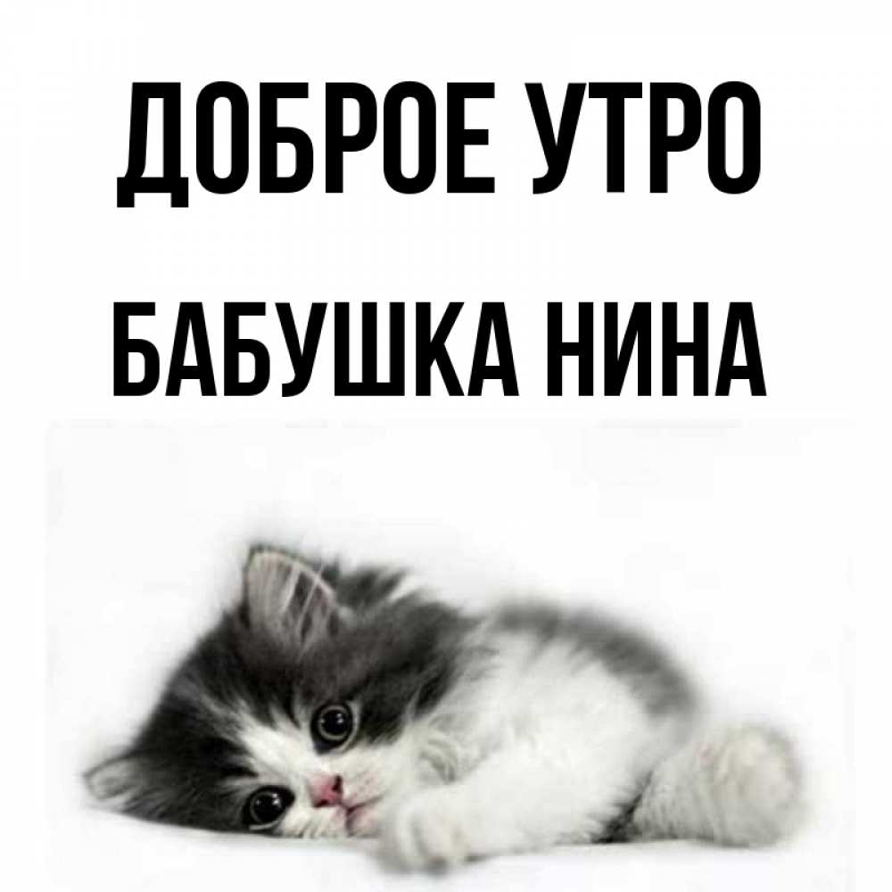 Открытка на каждый день с именем, Бабушка-Нина Доброе утро кот лапки Прикольная открытка с пожеланием онлайн скачать бесплатно 