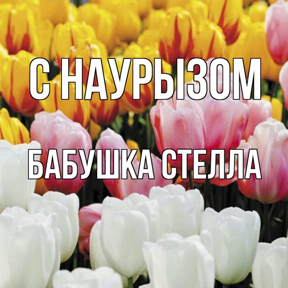 Открытка на каждый день с именем, Бабушка-Стелла С наурызом разноцветные цветы Прикольная открытка с пожеланием онлайн скачать бесплатно 