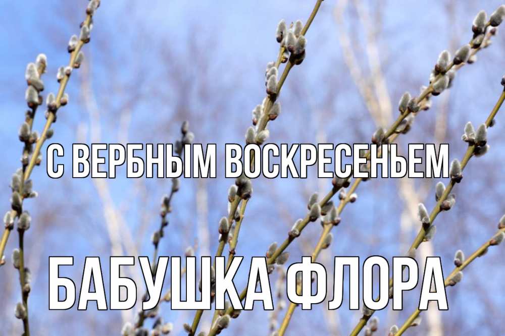 Открытка на каждый день с именем, Бабушка-Флора С вербным воскресеньем верба Прикольная открытка с пожеланием онлайн скачать бесплатно 