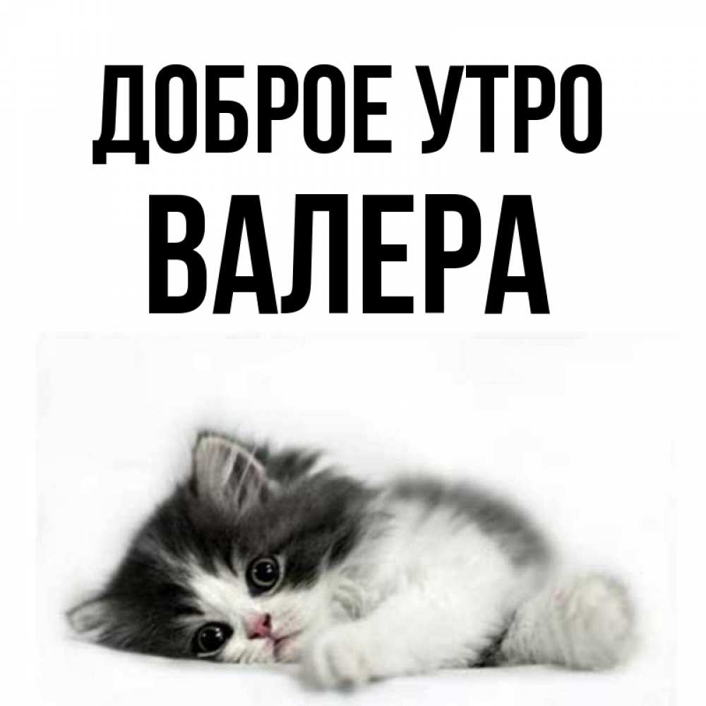 Валера Доброе Утро