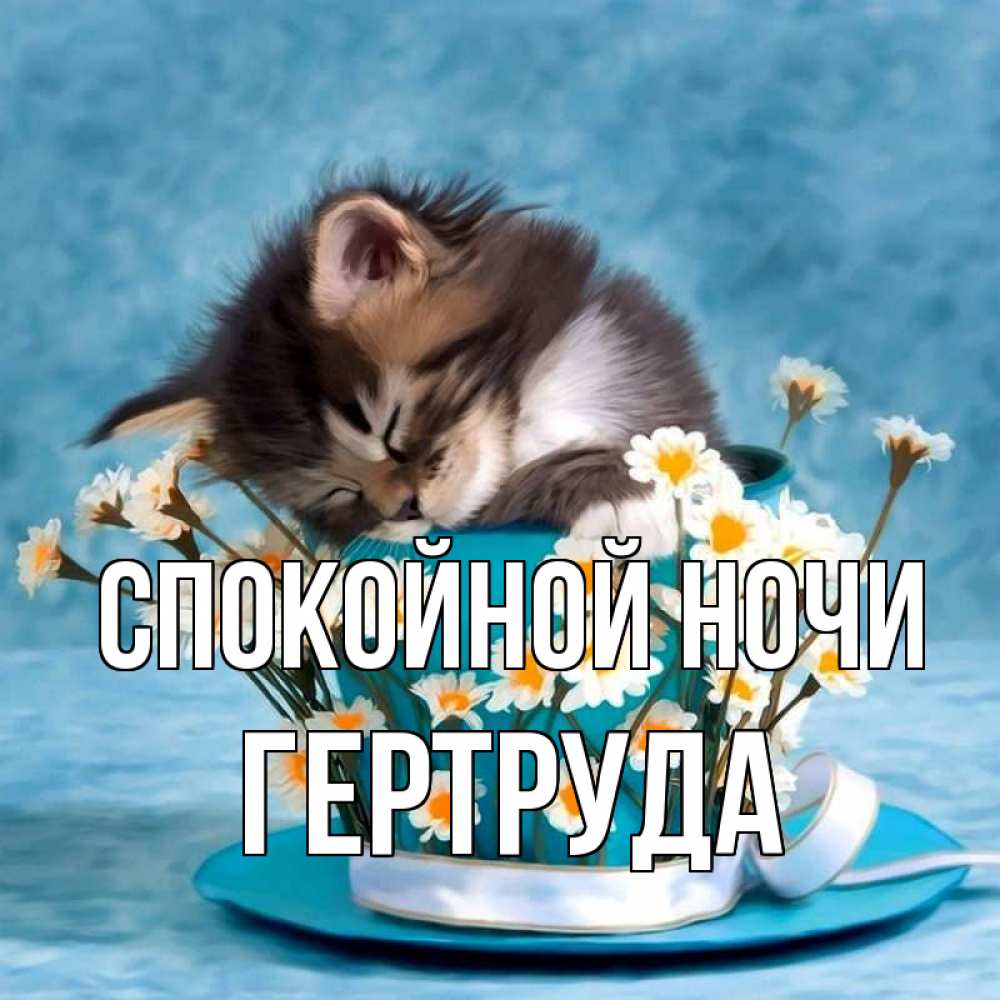 Открытка на каждый день с именем, Гертруда Спокойной ночи котенок спит в кружке с блюдцем Прикольная открытка с пожеланием онлайн скачать бесплатно 