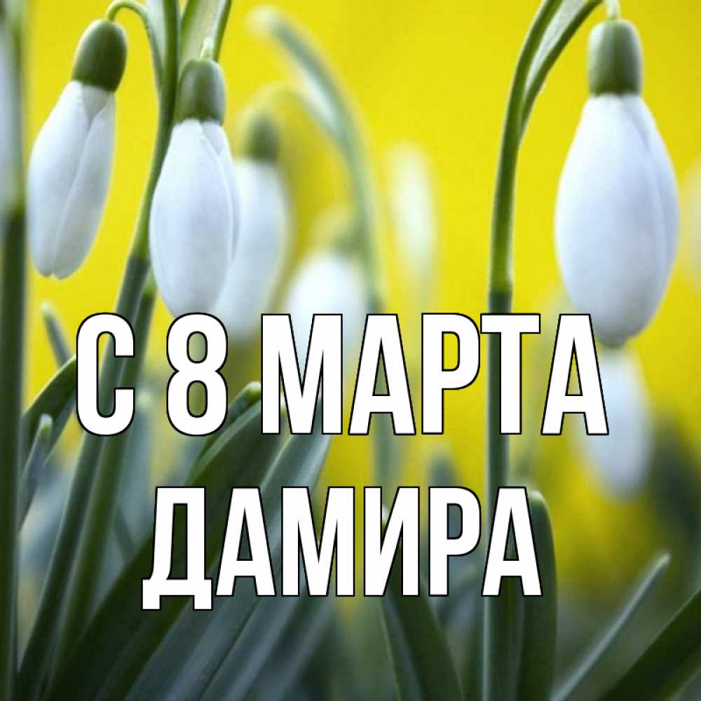 Открытка на каждый день с именем, Дамира С 8 МАРТА весенние цветы Прикольная открытка с пожеланием онлайн скачать бесплатно 