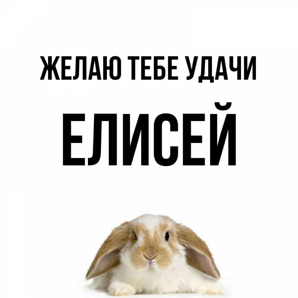 Открытка на каждый день с именем, Елисей Желаю тебе удачи открытки с произвольным текстом который можно вставить в открытку и создать ее самостоятельно бесплатно онлайн Прикольная открытка с пожеланием онлайн скачать бесплатно 