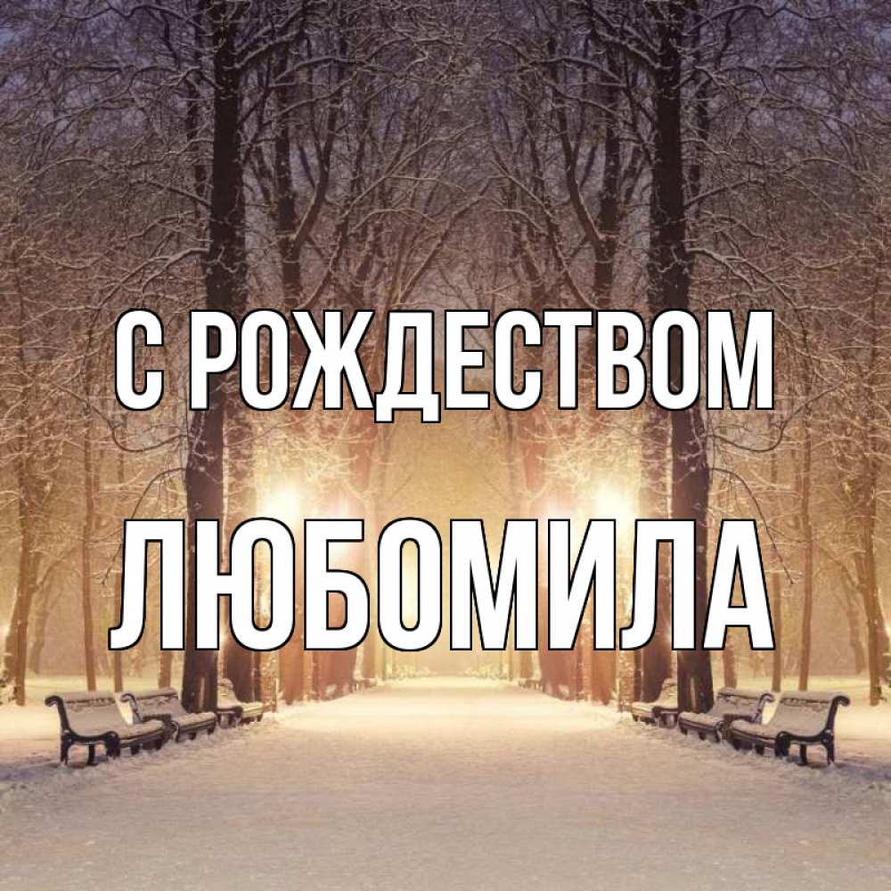 Открытка на каждый день с именем, Любомила С рождеством зима, парк, фонарь, лес Прикольная открытка с пожеланием онлайн скачать бесплатно 