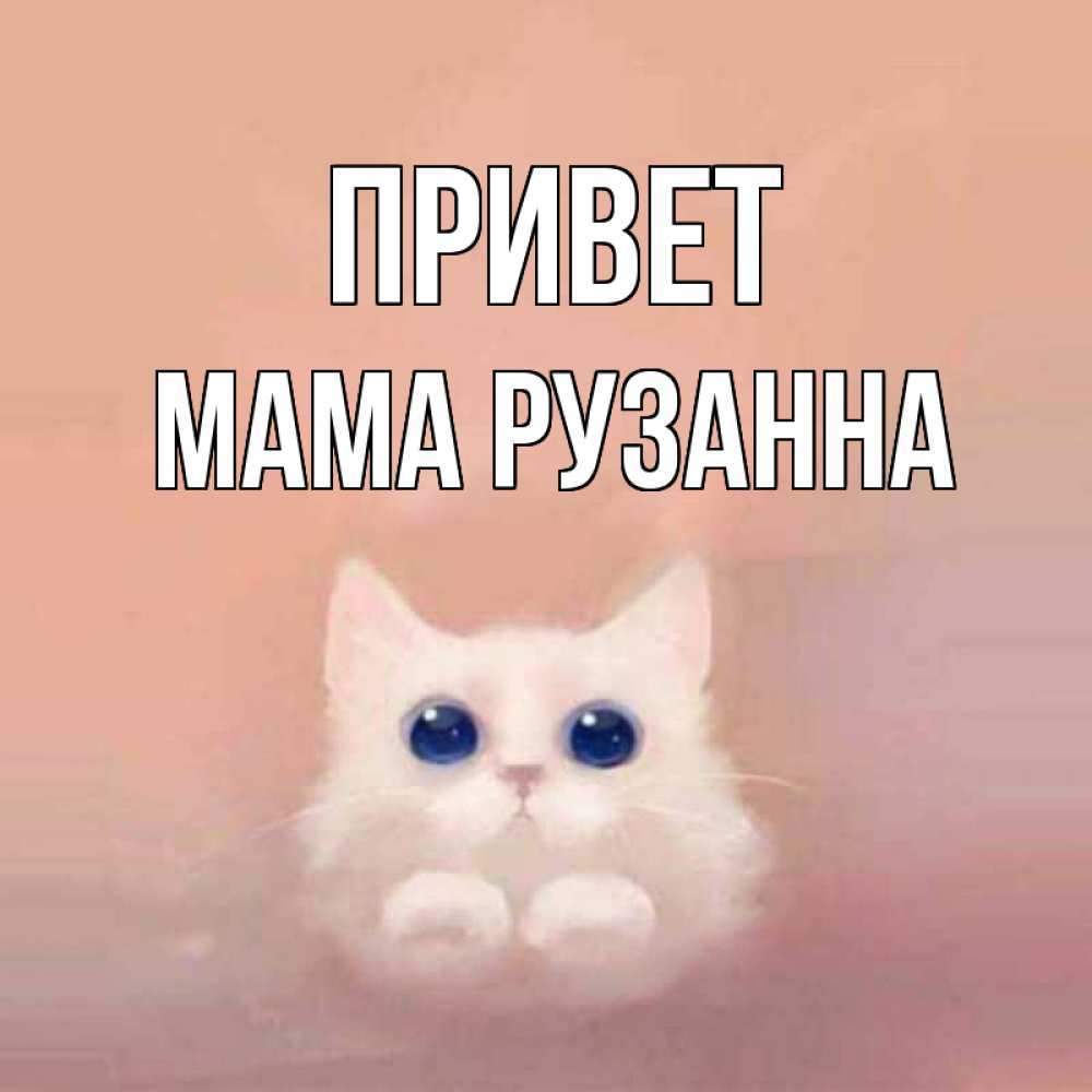 Открытка на каждый день с именем, Мама-Рузанна Привет котик белый в полете Прикольная открытка с пожеланием онлайн скачать бесплатно 