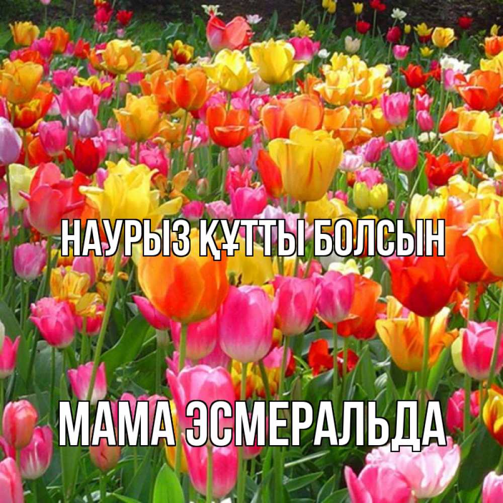 Открытка на каждый день с именем, Мама-Эсмеральда Наурыз құтты болсын на наурыз  ура ура Прикольная открытка с пожеланием онлайн скачать бесплатно 