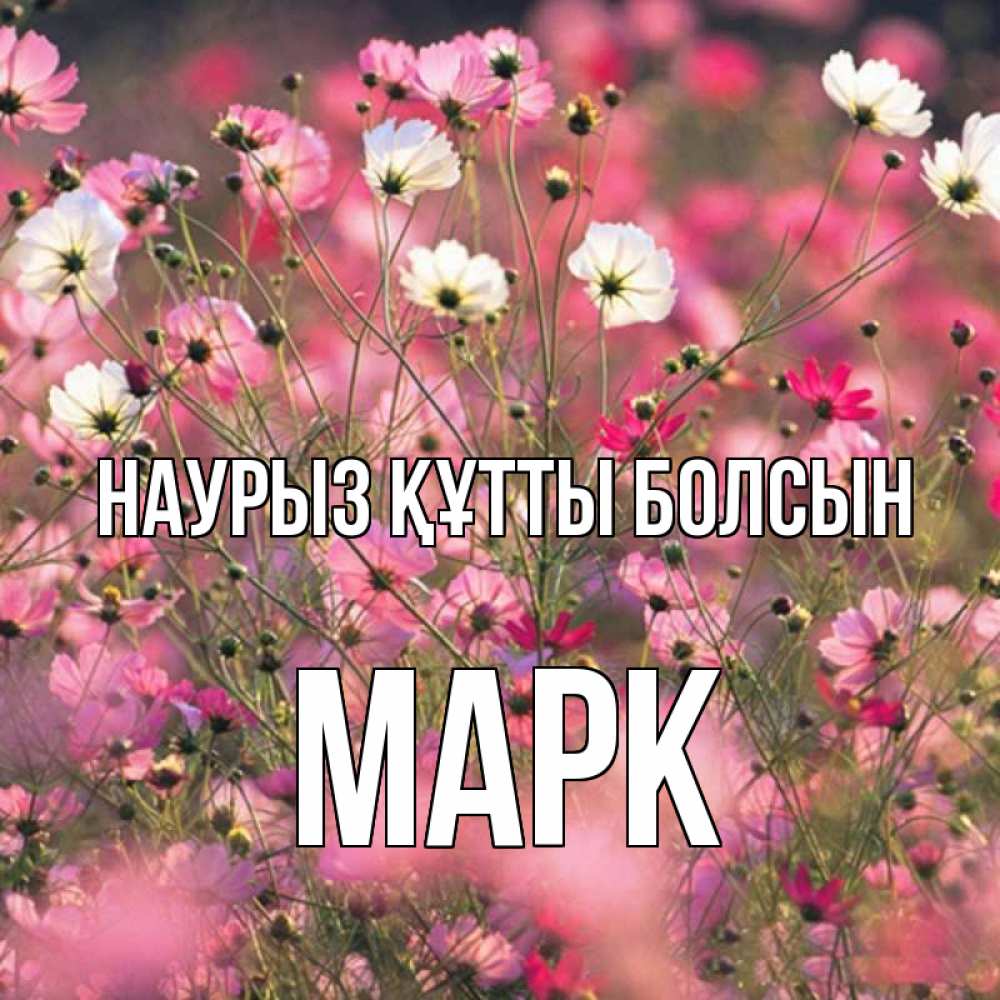 Открытка на каждый день с именем, Марк Наурыз құтты болсын красиво 1 Прикольная открытка с пожеланием онлайн скачать бесплатно 