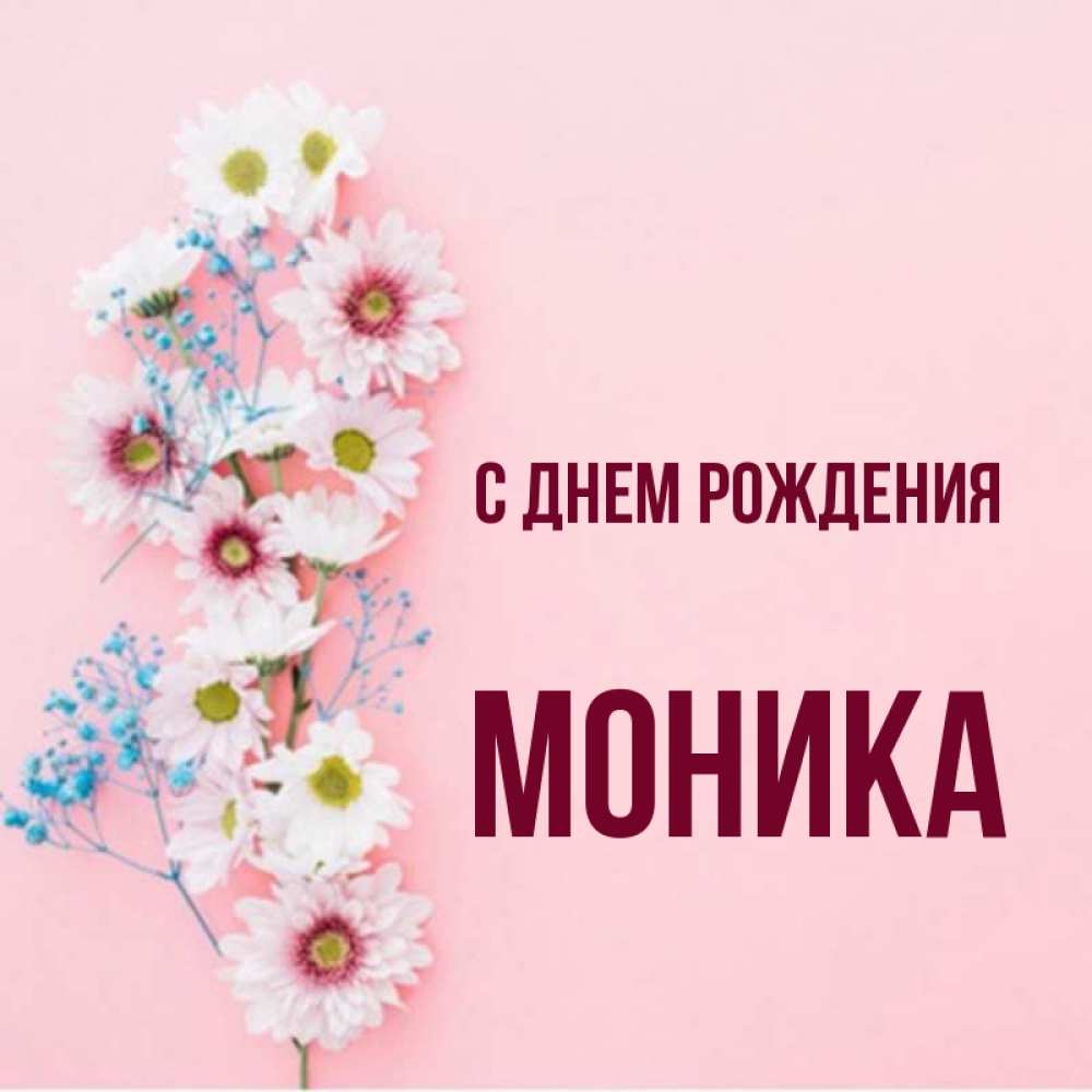 Открытка на каждый день с именем, Моника С днем рождения Родная моя с днем рождения тебя картинка с цветами белыми и голубыми Прикольная открытка с пожеланием онлайн скачать бесплатно 