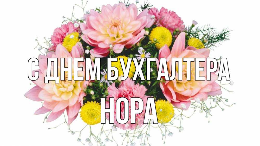 Открытка на каждый день с именем, Нора С днем бухгалтера с днем бухгалтера Прикольная открытка с пожеланием онлайн скачать бесплатно 
