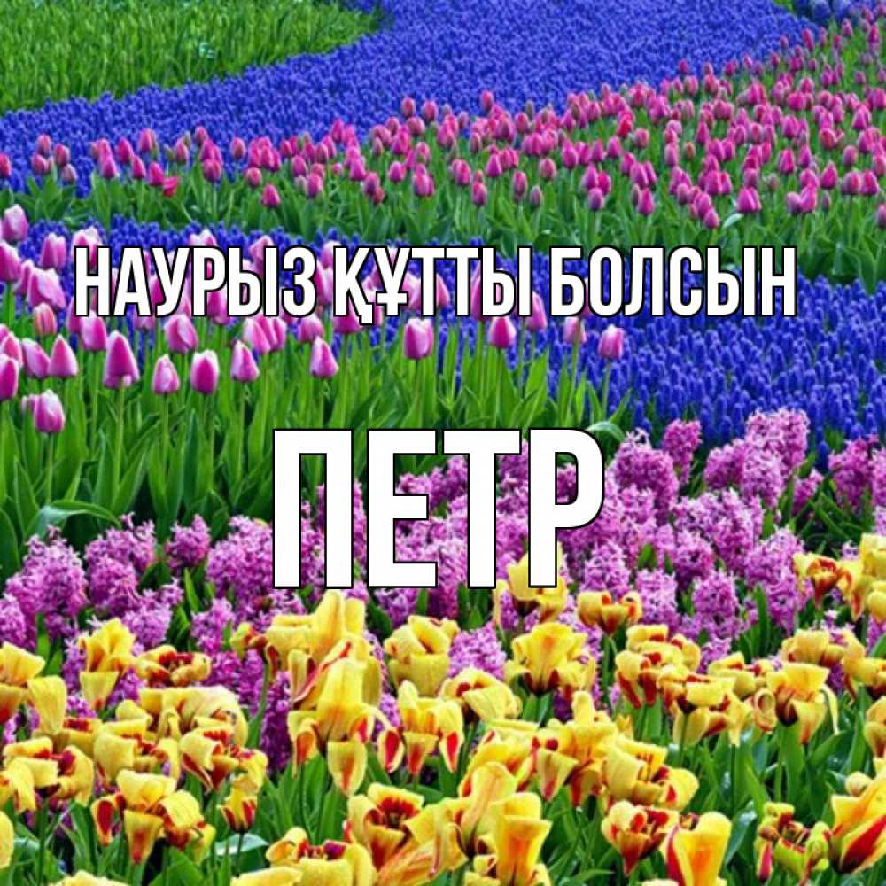 Открытка на каждый день с именем, Петр Наурыз құтты болсын цветы Прикольная открытка с пожеланием онлайн скачать бесплатно 