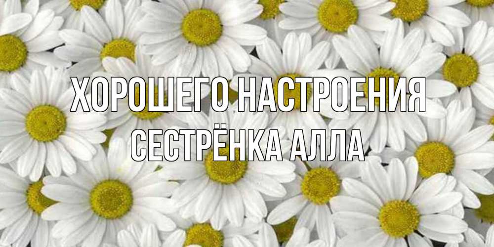 Открытка на каждый день с именем, Сестрёнка-Алла Хорошего настроения поляна ромашек Прикольная открытка с пожеланием онлайн скачать бесплатно 