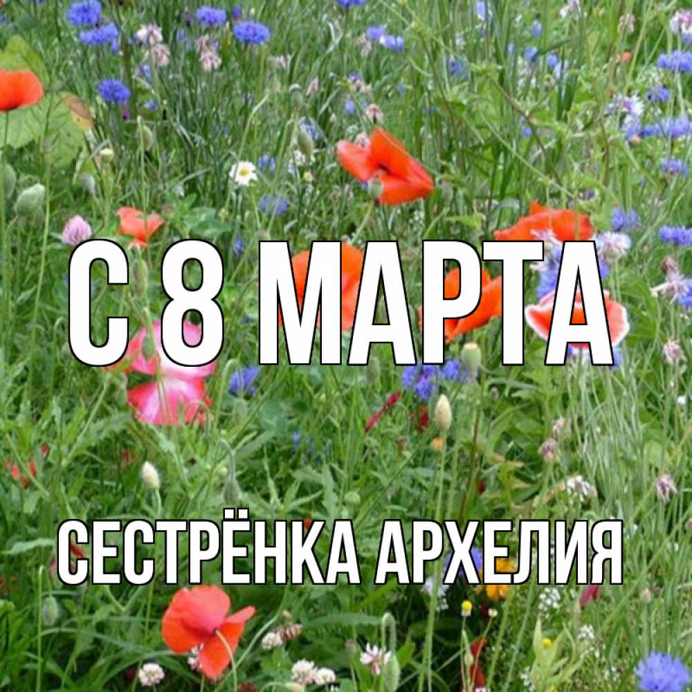 Открытка на каждый день с именем, Сестрёнка-Архелия С 8 МАРТА международный женский день 4 Прикольная открытка с пожеланием онлайн скачать бесплатно 