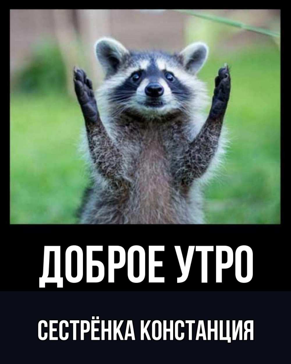 Открытка на каждый день с именем, Сестрёнка-Констанция Доброе утро хорошее настроение утречком Прикольная открытка с пожеланием онлайн скачать бесплатно 