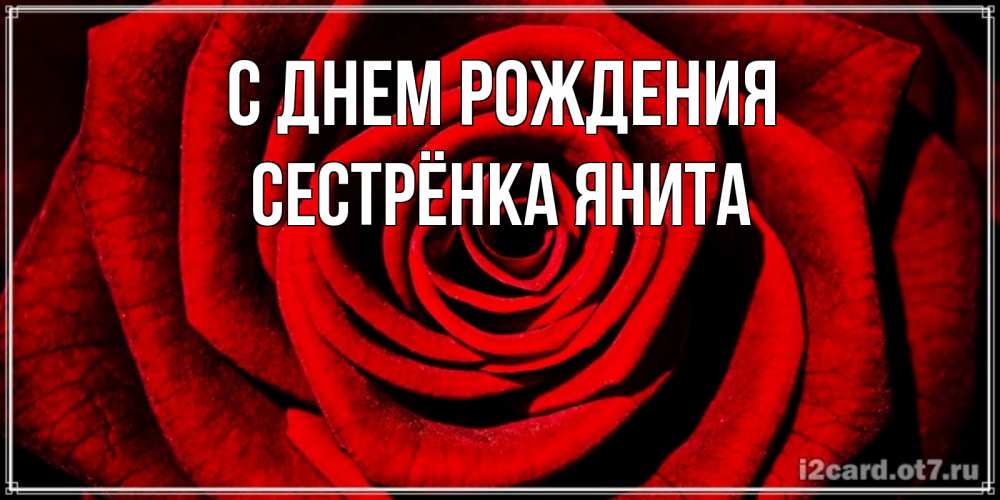 Открытка на каждый день с именем, Сестрёнка-Янита С днем рождения алая роза Прикольная открытка с пожеланием онлайн скачать бесплатно 