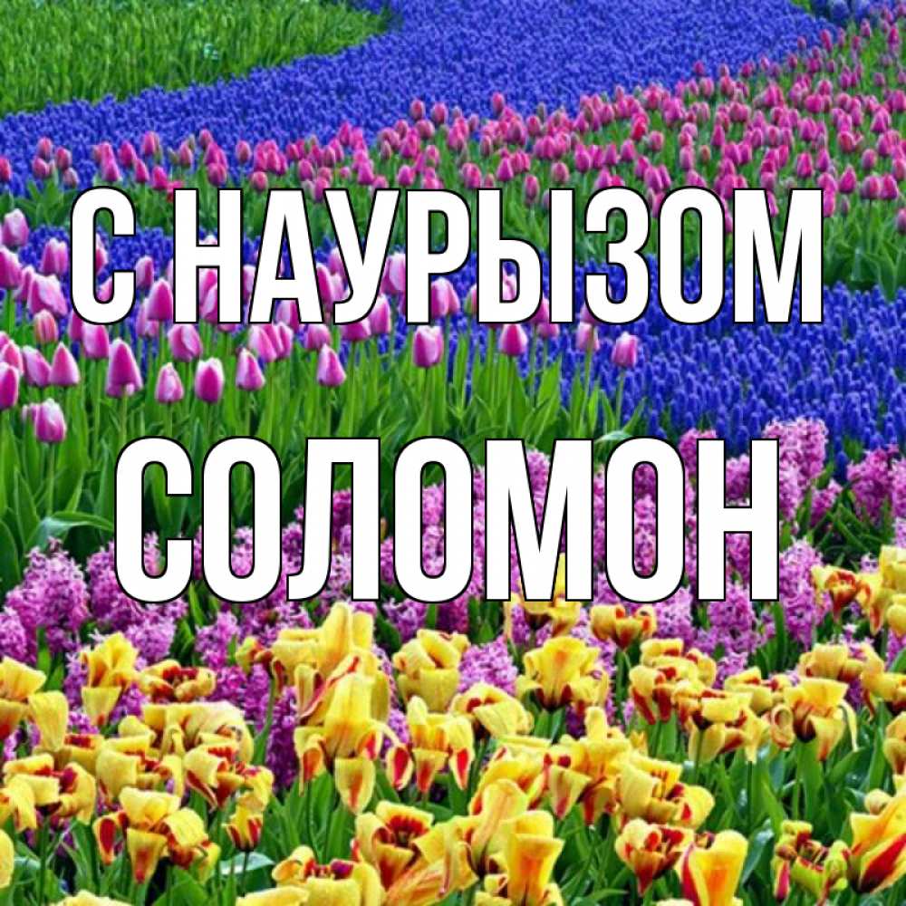 Открытка на каждый день с именем, Соломон С наурызом цветы Прикольная открытка с пожеланием онлайн скачать бесплатно 