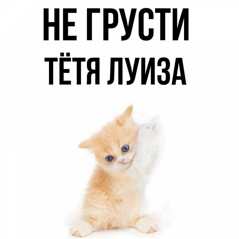 Открытка на каждый день с именем, Тётя-Луиза Не грусти просящий кот Прикольная открытка с пожеланием онлайн скачать бесплатно 