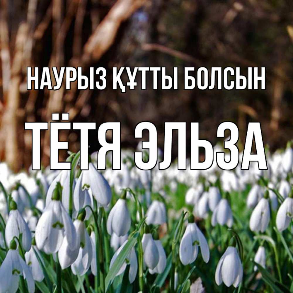Открытка на каждый день с именем, Тётя-Эльза Наурыз құтты болсын с подснежниками 1 Прикольная открытка с пожеланием онлайн скачать бесплатно 