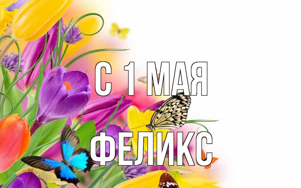 Открытка на каждый день с именем, Феликс С 1 мая С 1 мая Прикольная открытка с пожеланием онлайн скачать бесплатно 