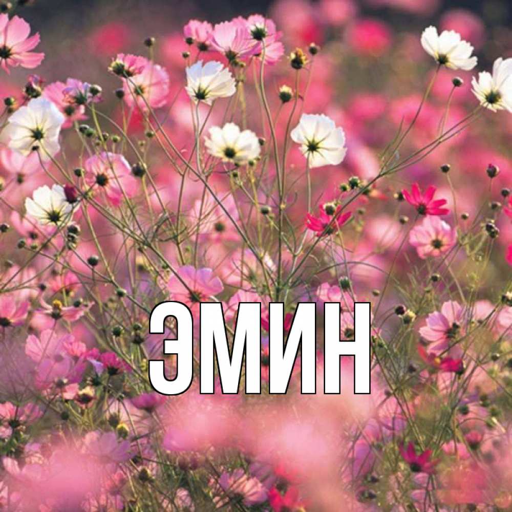 Падает, эмине открытка