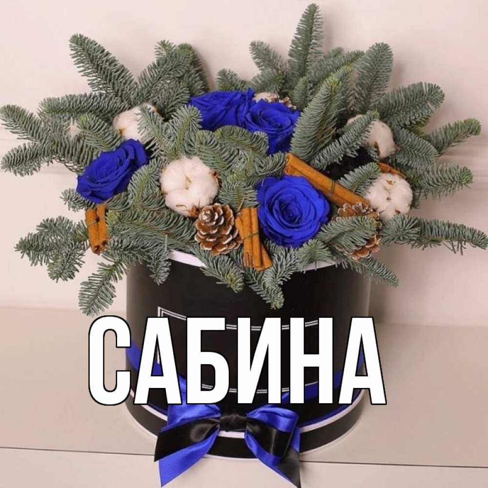 Открытка на каждый день с именем, Сабина Главная короче кто то загрузил эти шишки Прикольная открытка с пожеланием онлайн скачать бесплатно 