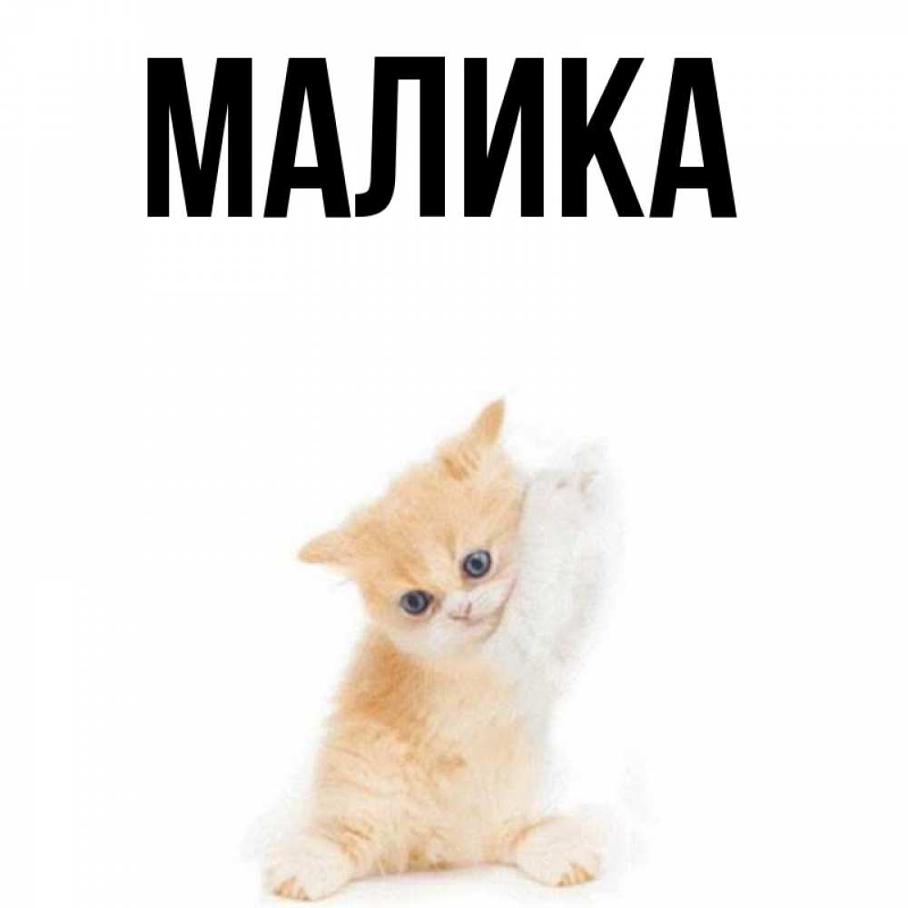 Картинки с именем малика