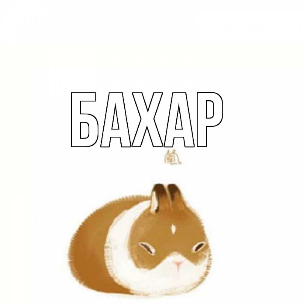 Открытка на каждый день с именем, Бахар Главная хорошего утречка Прикольная открытка с пожеланием онлайн скачать бесплатно 