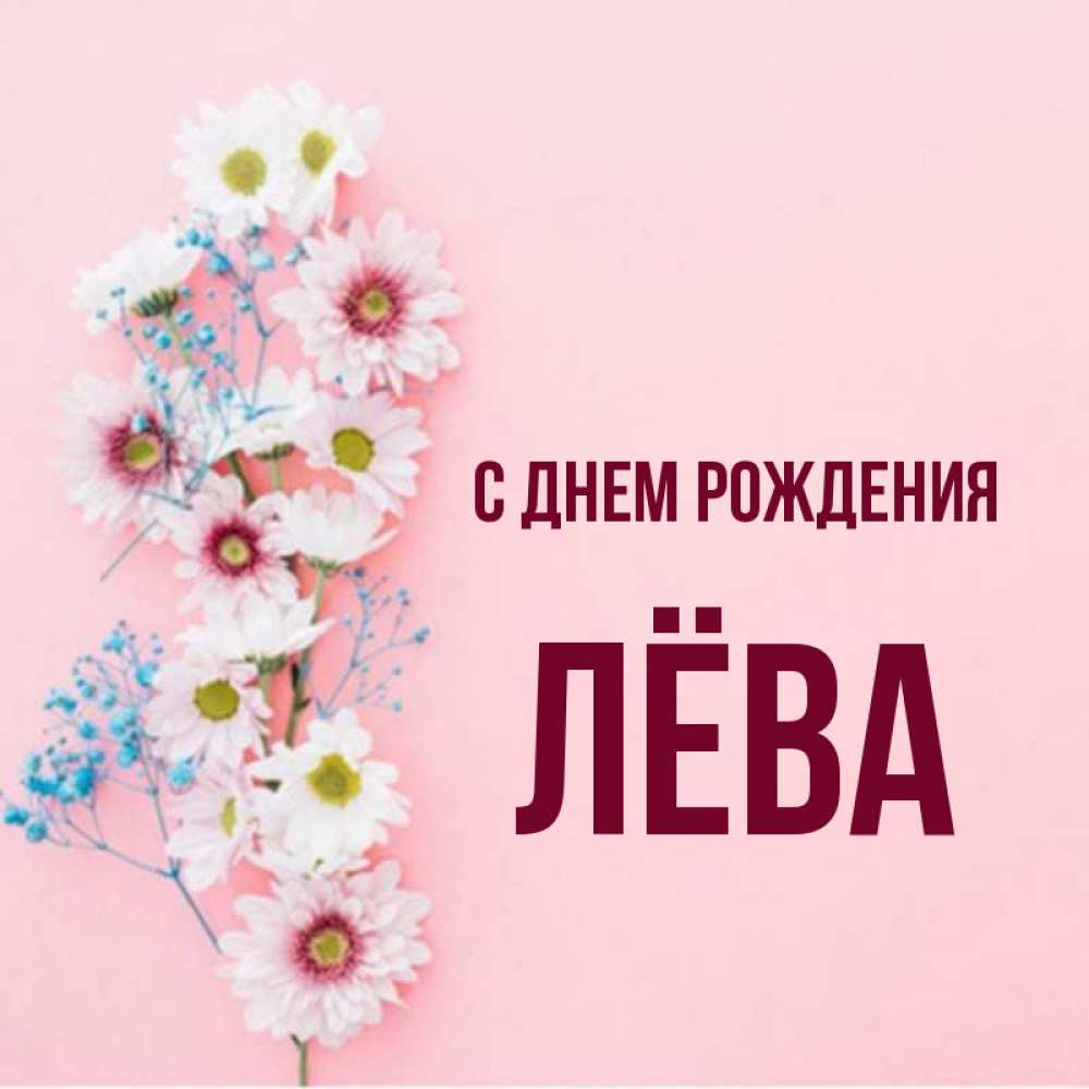 Лева С Днем Рождения