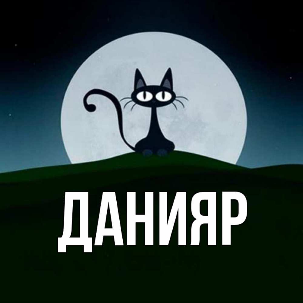 Имя данияр