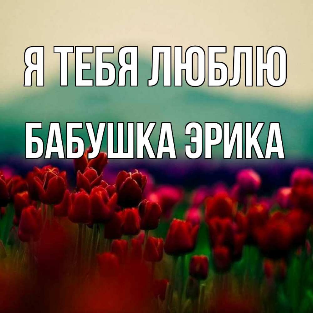 Открытка на каждый день с именем, Бабушка-Эрика Я тебя люблю тюльпаны 4 Прикольная открытка с пожеланием онлайн скачать бесплатно 