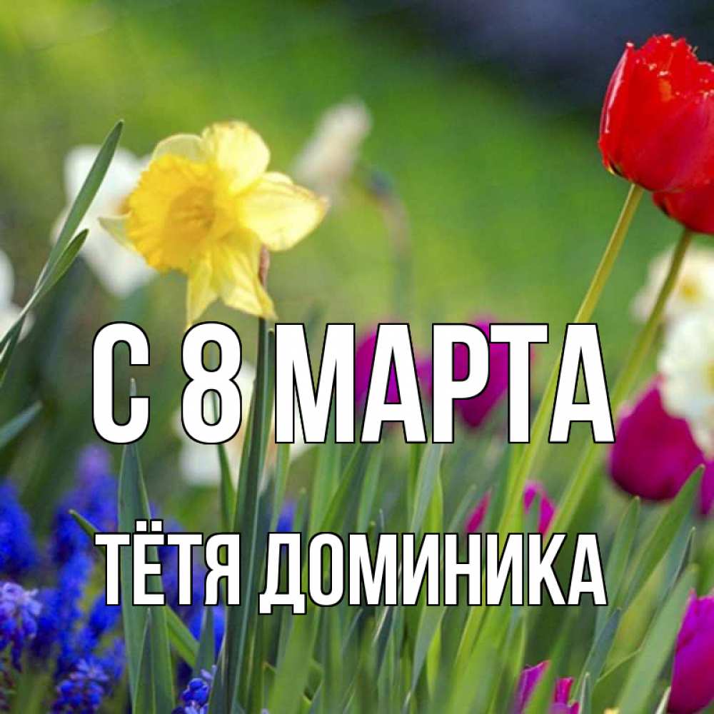 Открытка на каждый день с именем, Тётя-Доминика С 8 марта международный женский день 3 Прикольная открытка с пожеланием онлайн скачать бесплатно 