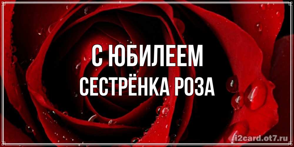 Открытка на каждый день с именем, Сестрёнка-Роза С юбилеем крупная бордовая роза Прикольная открытка с пожеланием онлайн скачать бесплатно 