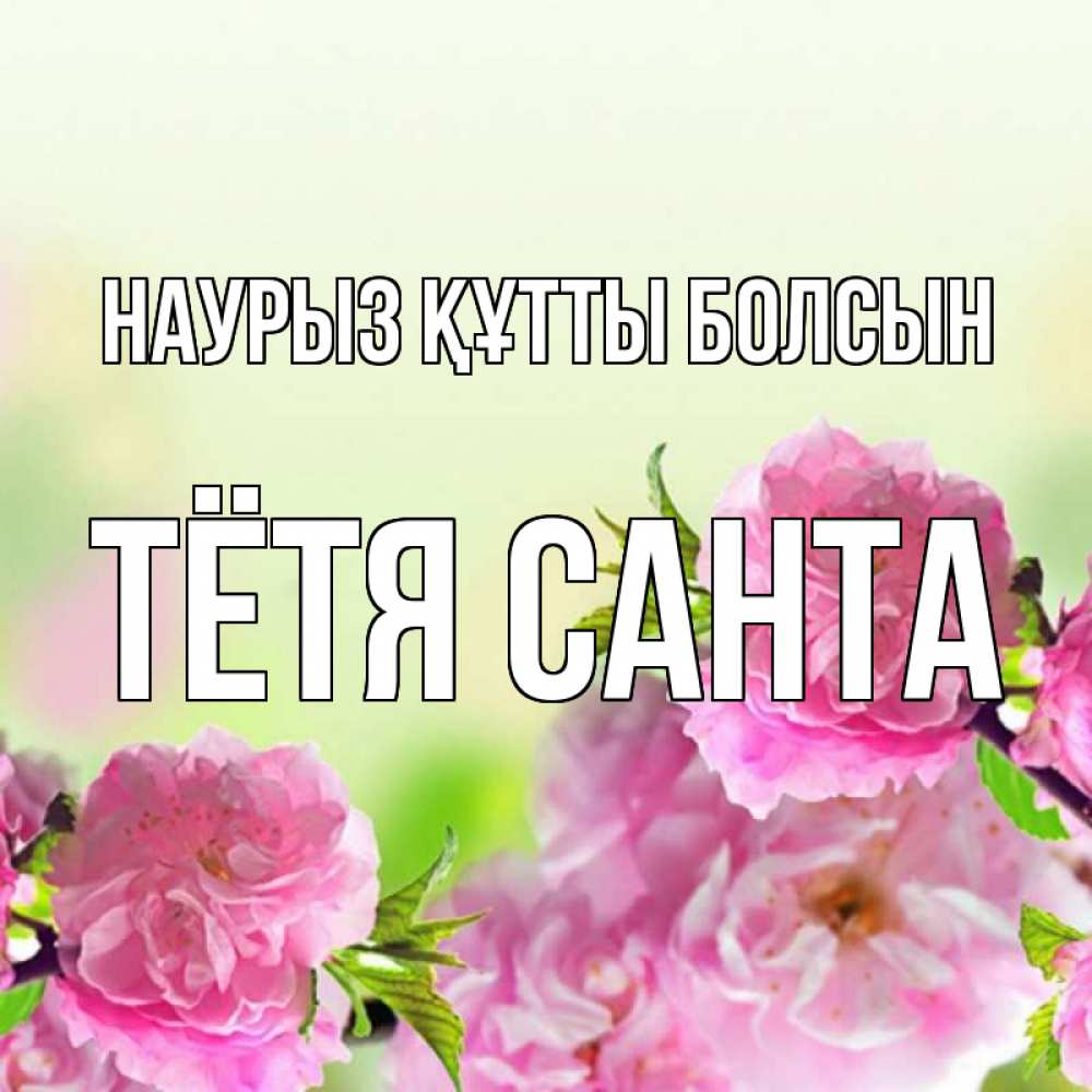 Открытка на каждый день с именем, Тётя-Санта Наурыз құтты болсын цветы Прикольная открытка с пожеланием онлайн скачать бесплатно 