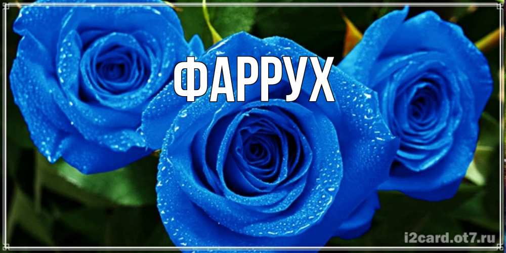 Картинка  с именем , Фаррух