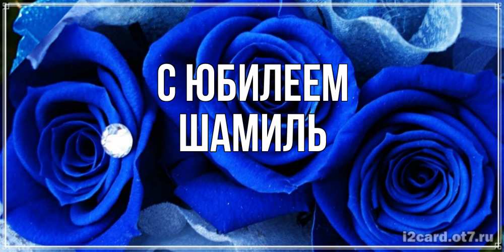 Открытка на каждый день с именем, Шамиль С юбилеем синие розы в росе Прикольная открытка с пожеланием онлайн скачать бесплатно 