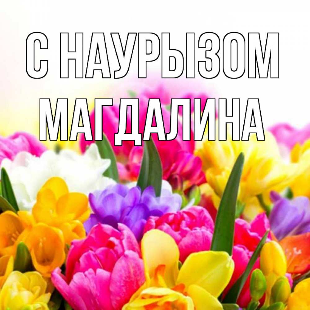 Открытка на каждый день с именем, Магдалина С наурызом тюльпаны Прикольная открытка с пожеланием онлайн скачать бесплатно 