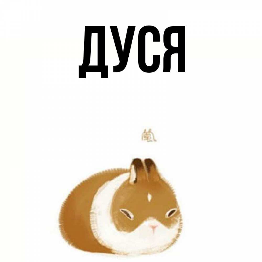 Имя дуся